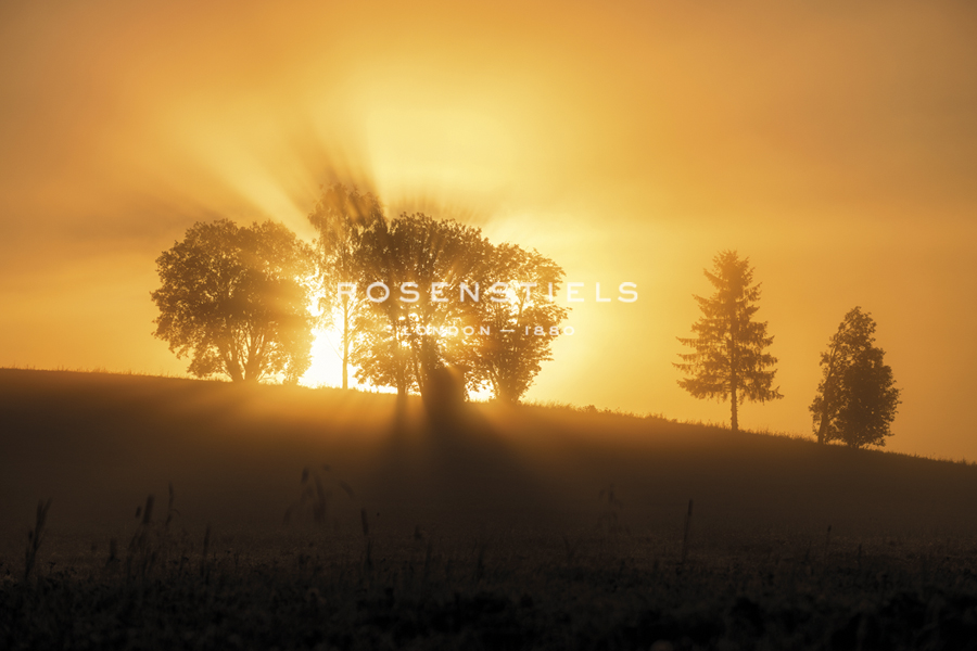 Sunset Crescendo - Andreas Stridsberg