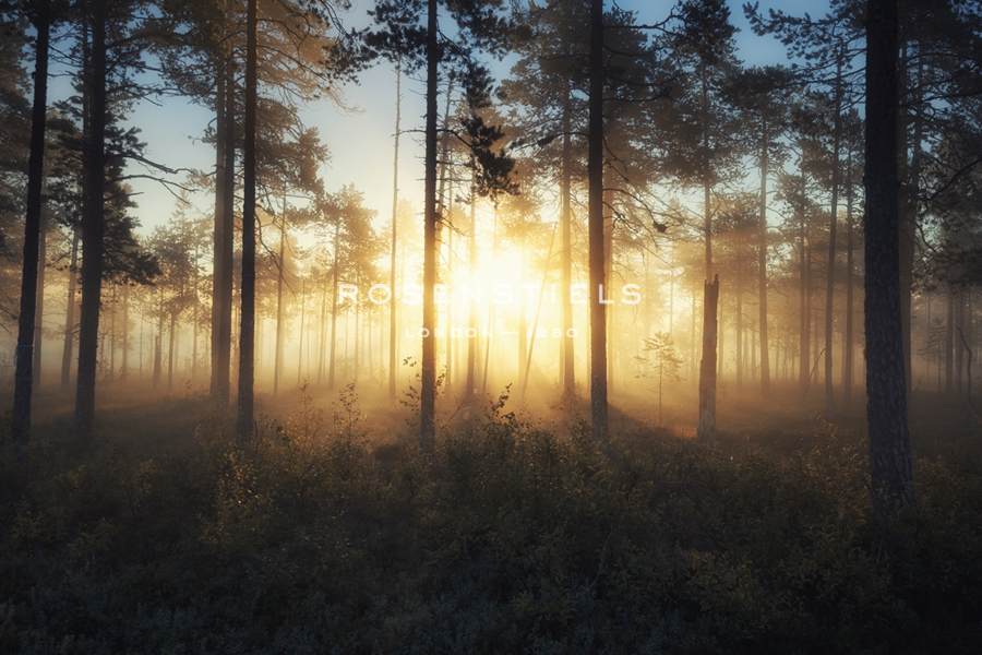 Celestial Dawn - Andreas Stridsberg