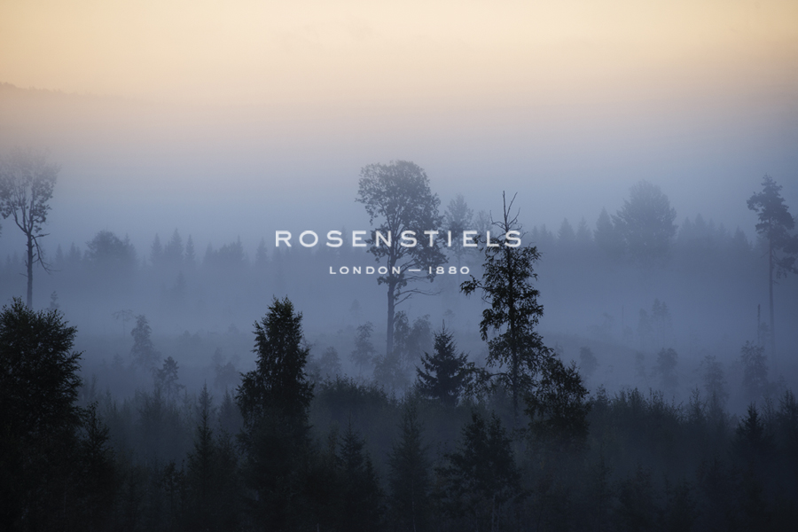 Misty Horizons - Andreas Stridsberg
