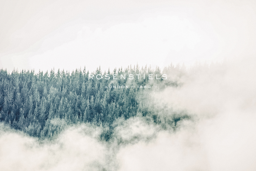 Obscure Setting - Florian Schleinig