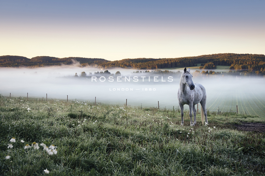 Peaceful Fields - Solo - Andreas Stridsberg