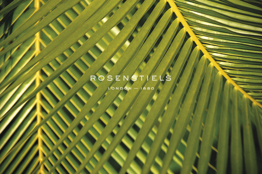 Botanicals XI - Tony Koukos