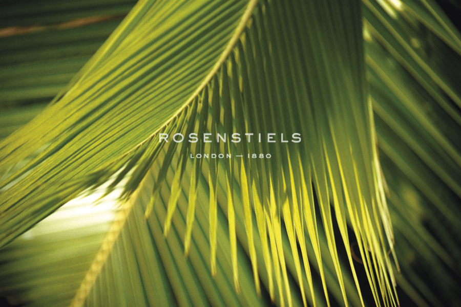 Botanicals XII - Tony Koukos