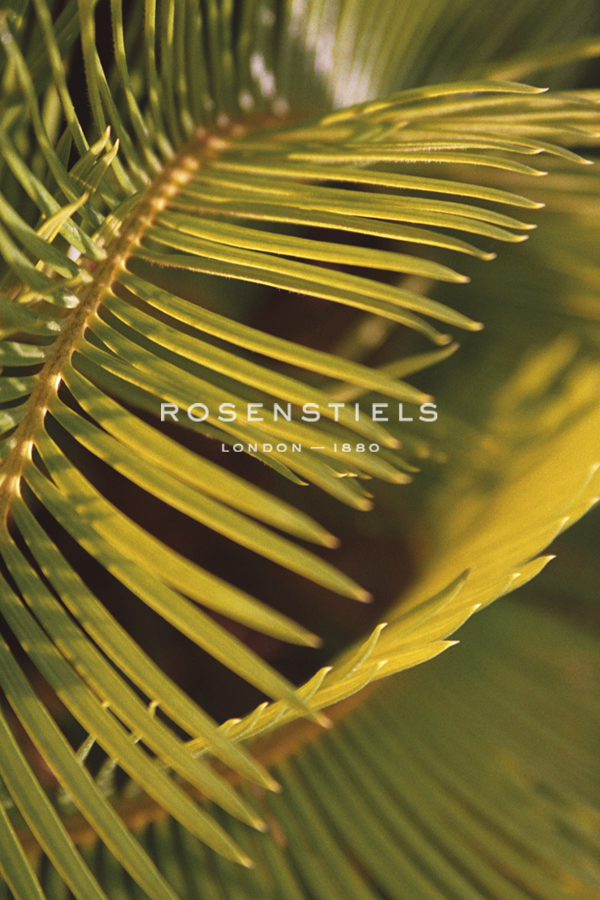 Botanicals XV - Tony Koukos