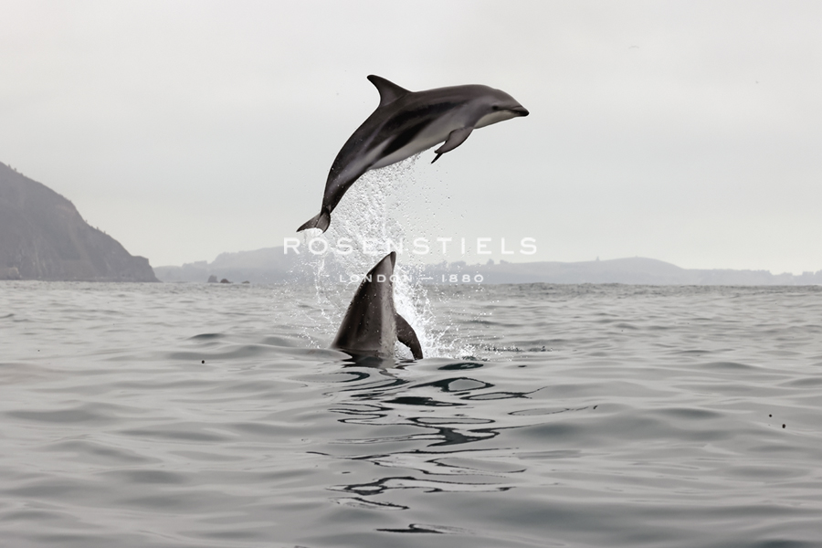 Jump - Nathan Secker