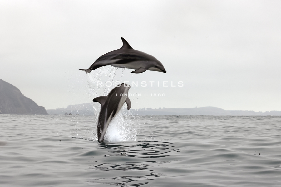 Leap - Nathan Secker
