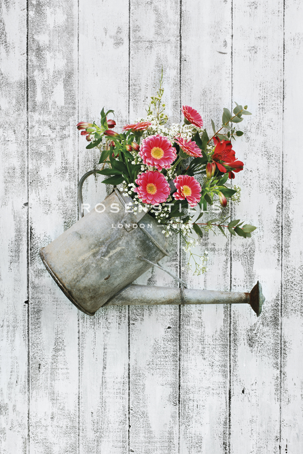 Rustic Planter - James Guilliam
