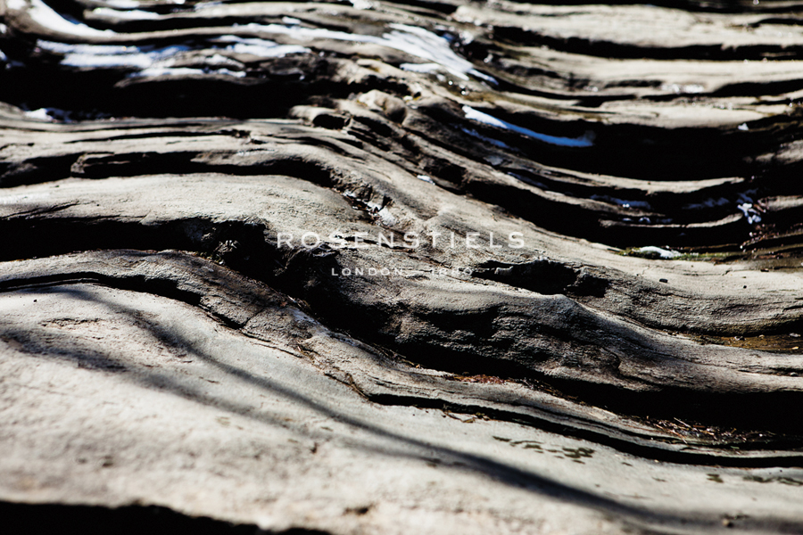 Organic Waves - Sarah Hart Morgan