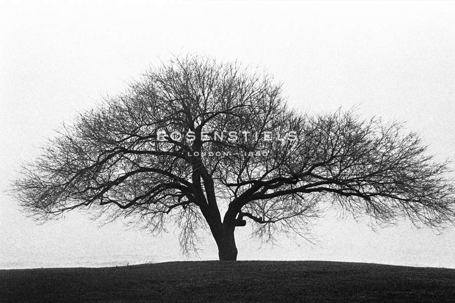 Solitary - Jay Wesler