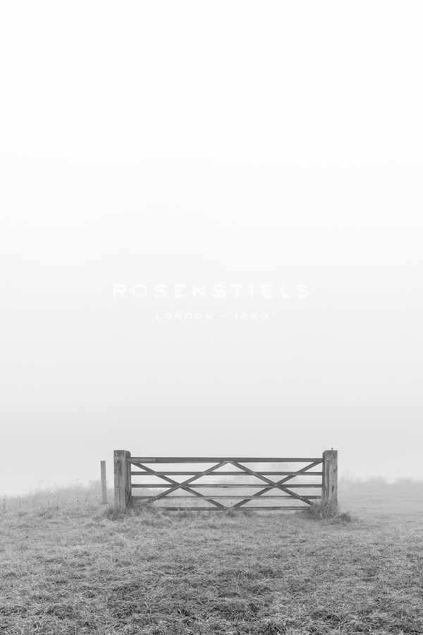 Misty Field - Alan Copson