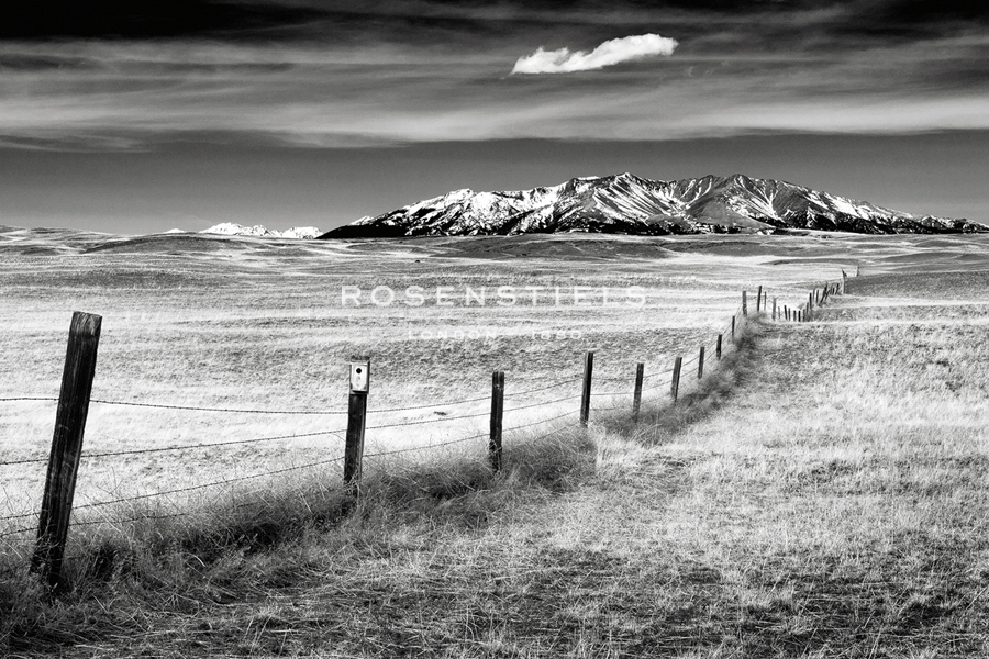 Crazy Mountains - Jay Wesler