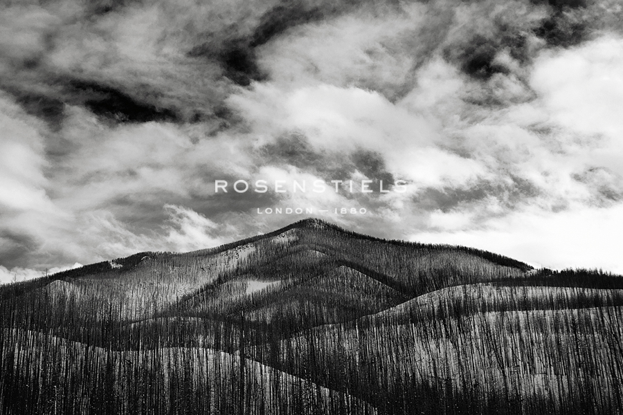 Mill Creek - Jay Wesler
