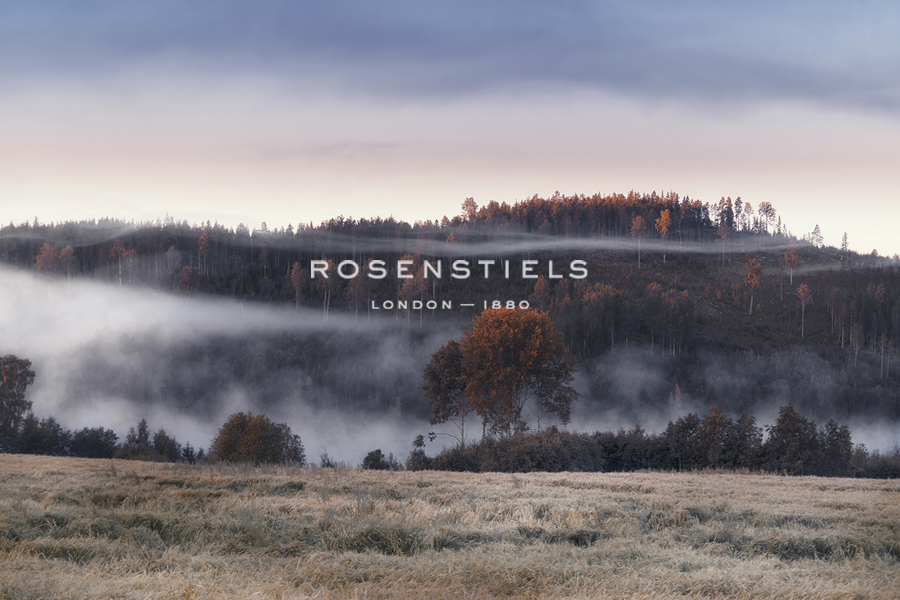 Beyond the Misty Veil - Andreas Stridsberg