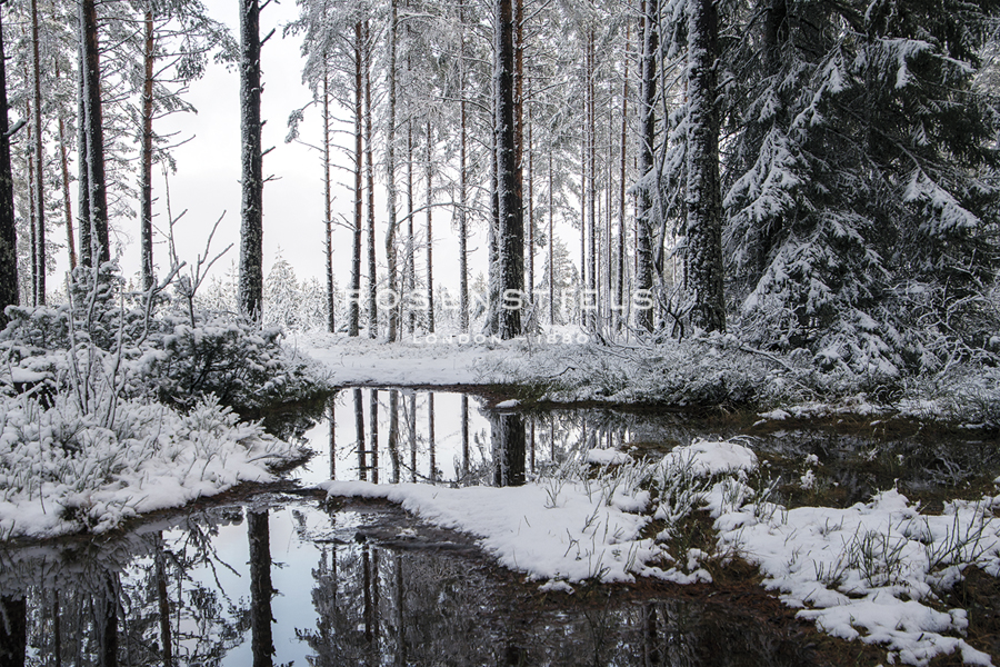Frozen Calm - Andreas Stridsberg