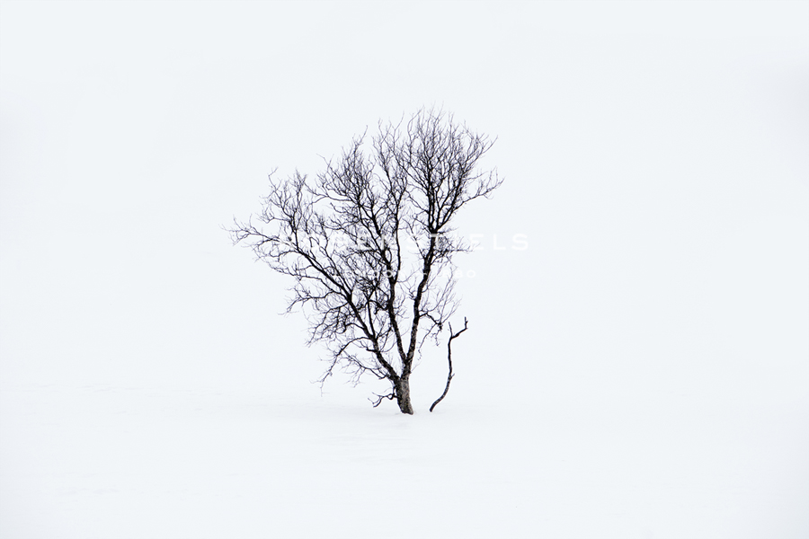 Ethereal Solitude - Andreas Stridsberg