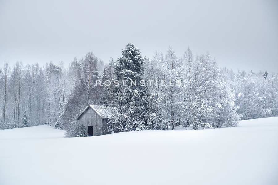Frosty Escape - Andreas Stridsberg