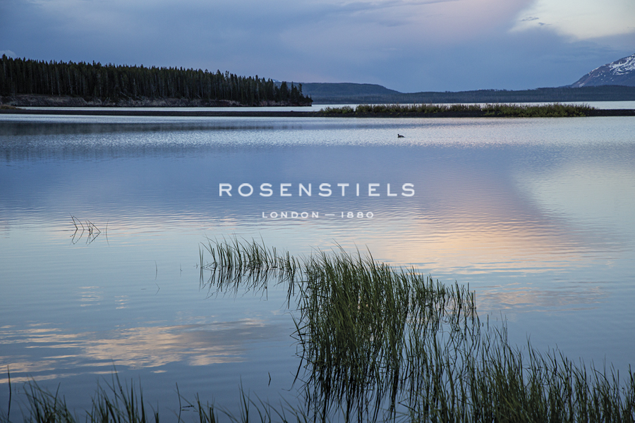 Peaceful Lakeside - Andrew Geiger