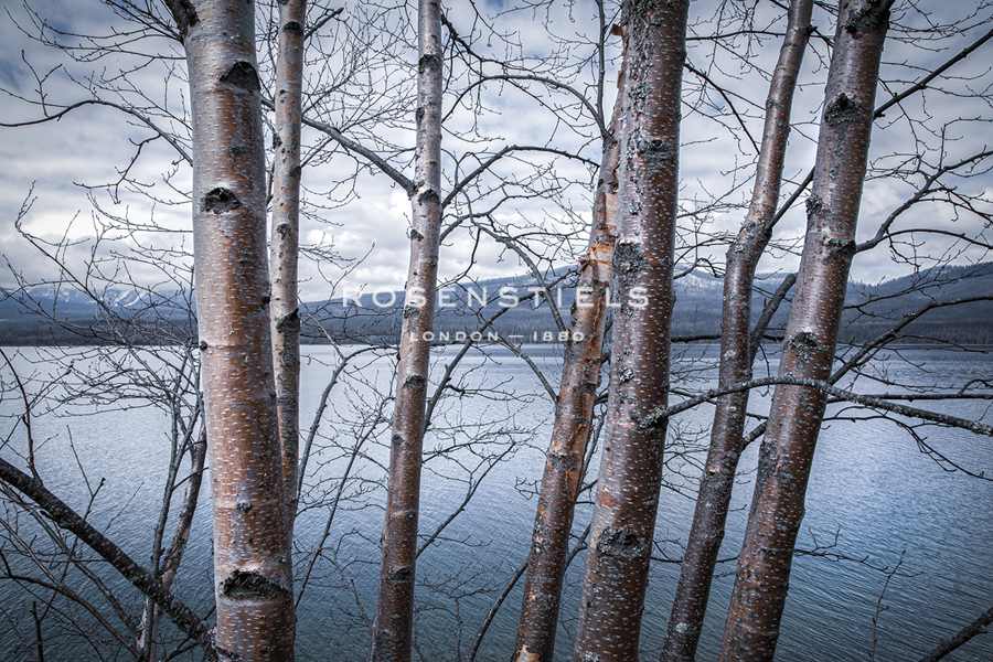 Water Beyond - Andrew Geiger