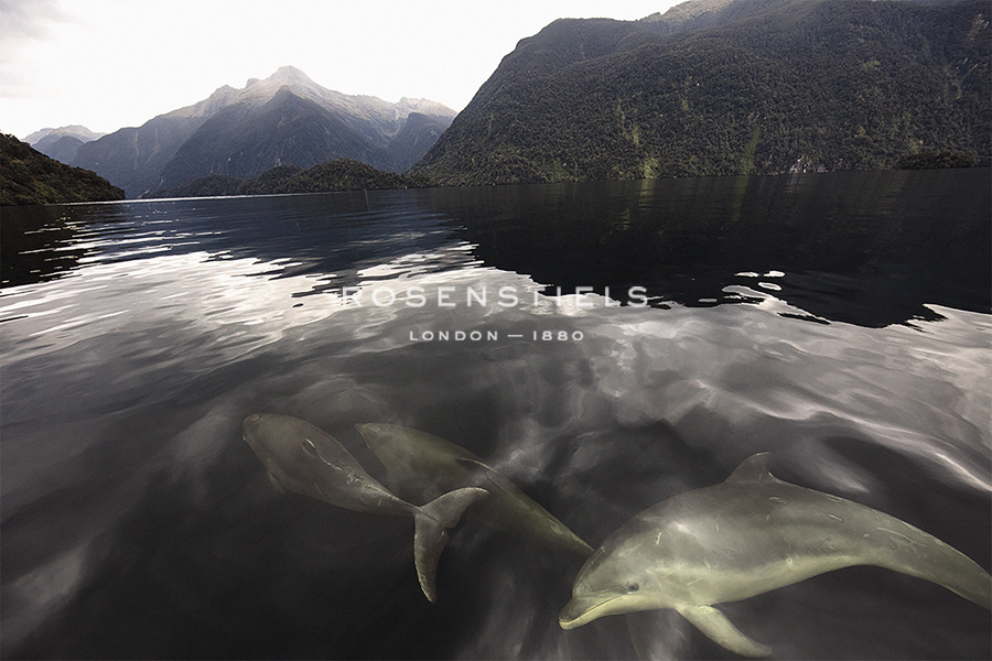 Below the Surface - Nathan Secker