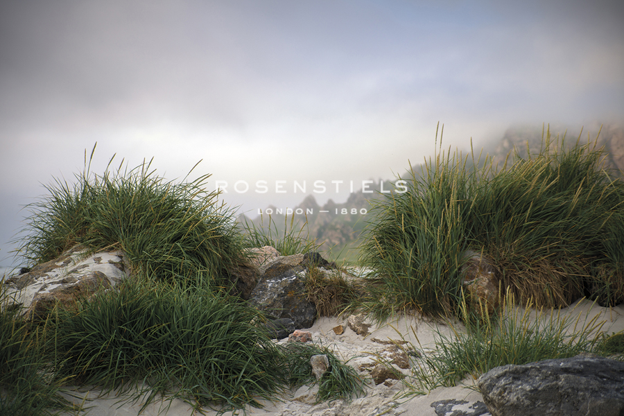 Seagrass Shelter - Andreas Stridsberg