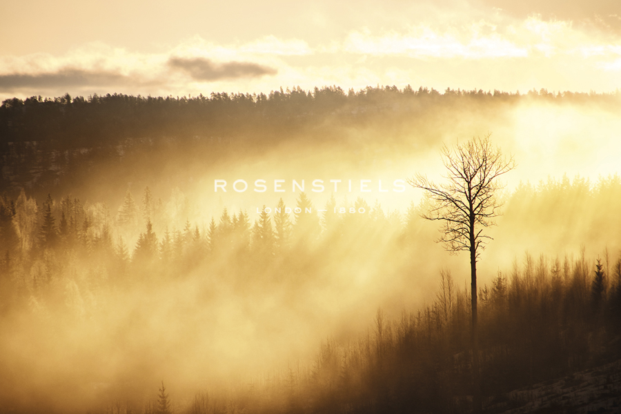 Panoramic Blaze - Andreas Stridsberg