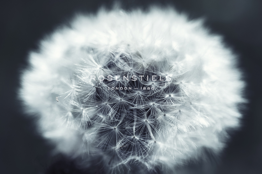 Make a Wish - Andreas Stridsberg