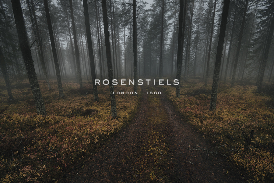 Journey Ahead - Andreas Stridsberg