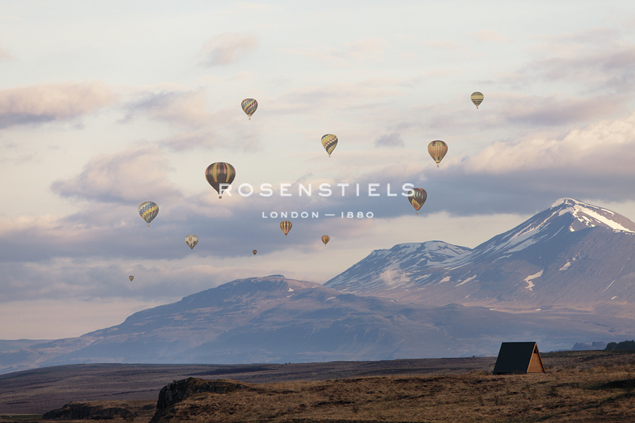 Balloon Vista - Irene Suchocki