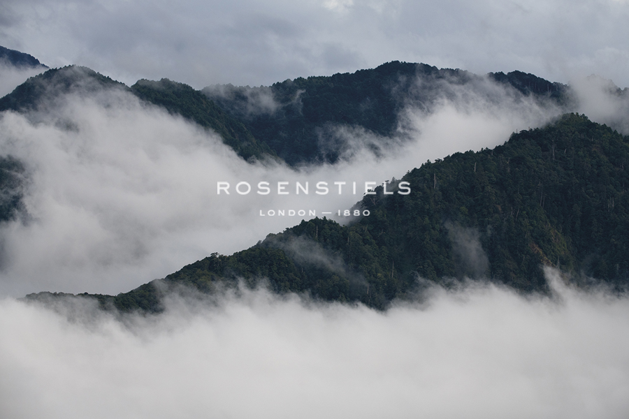 Misted Melodies - Wild Wonders of China