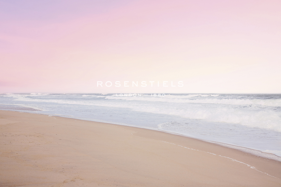 Daydream Coast - Irene Suchocki