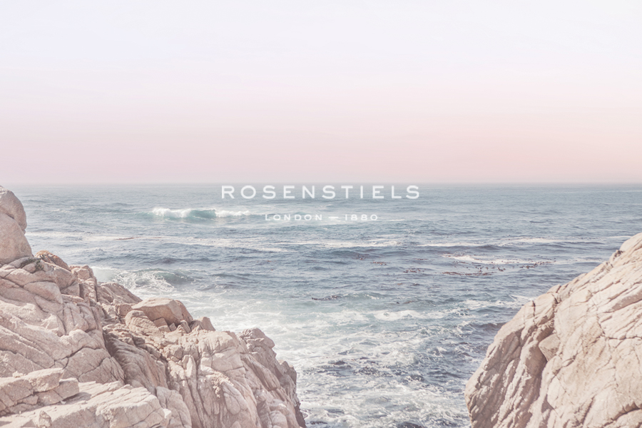 Ocean Gaze - Irene Suchocki