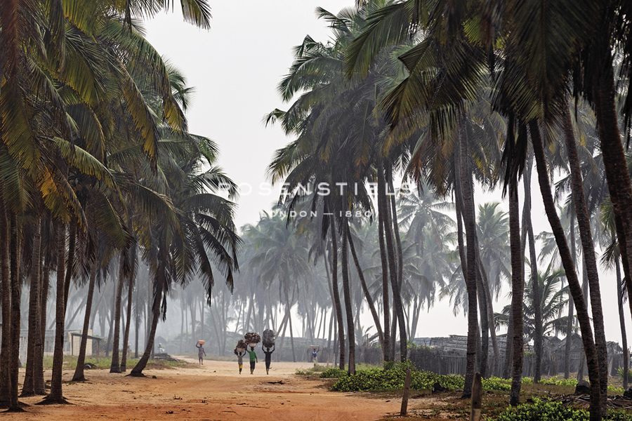 Grand Popo Beach - Path - Nigel Pavitt