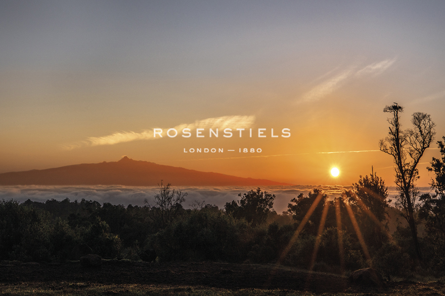 Forever Sunset - Nigel Pavitt