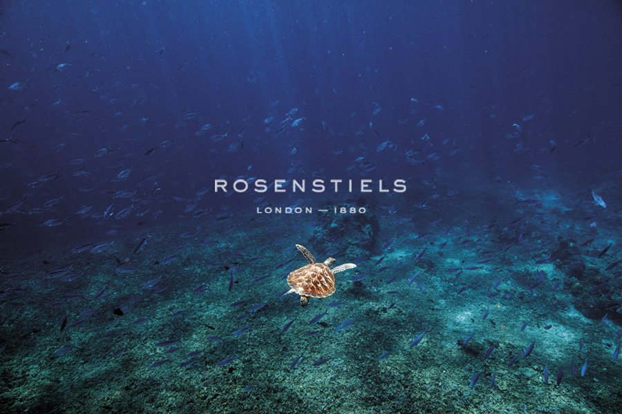 Shoal and Turtle - Nathan Secker