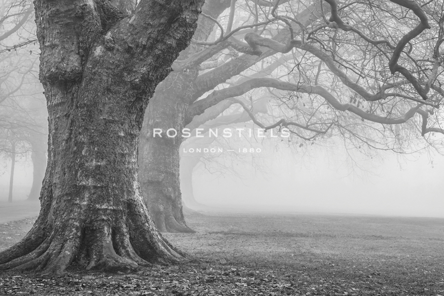 Distance - Alan Copson