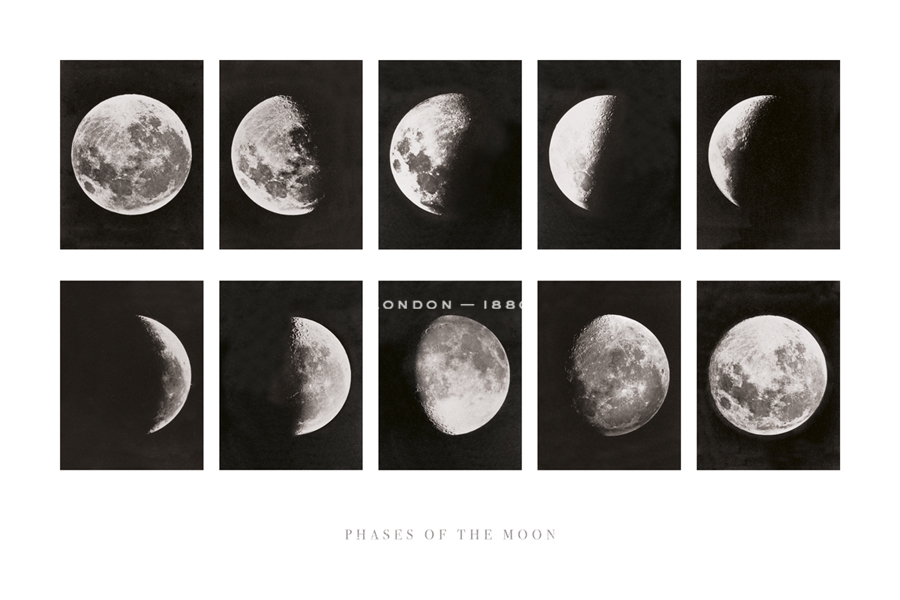 Phases of the Moon - The Vintage Collection