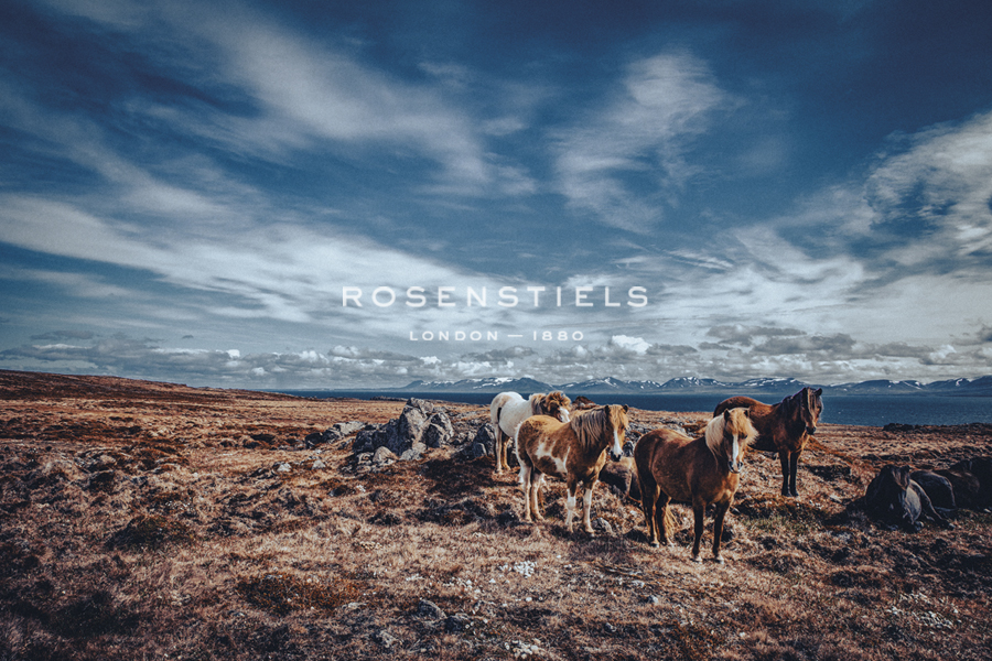Horse Party - Andrew Geiger