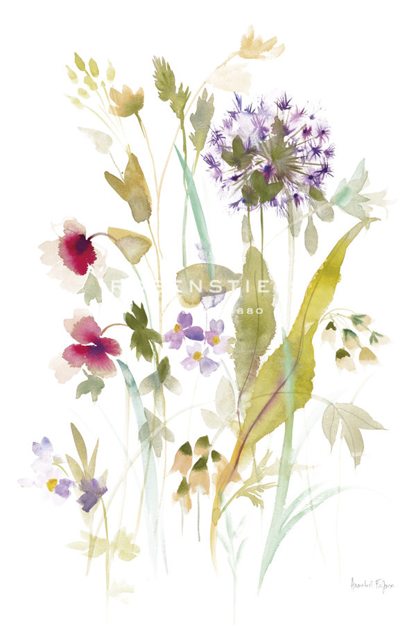 Bloom Delight - Flow - Annabel Fairfax