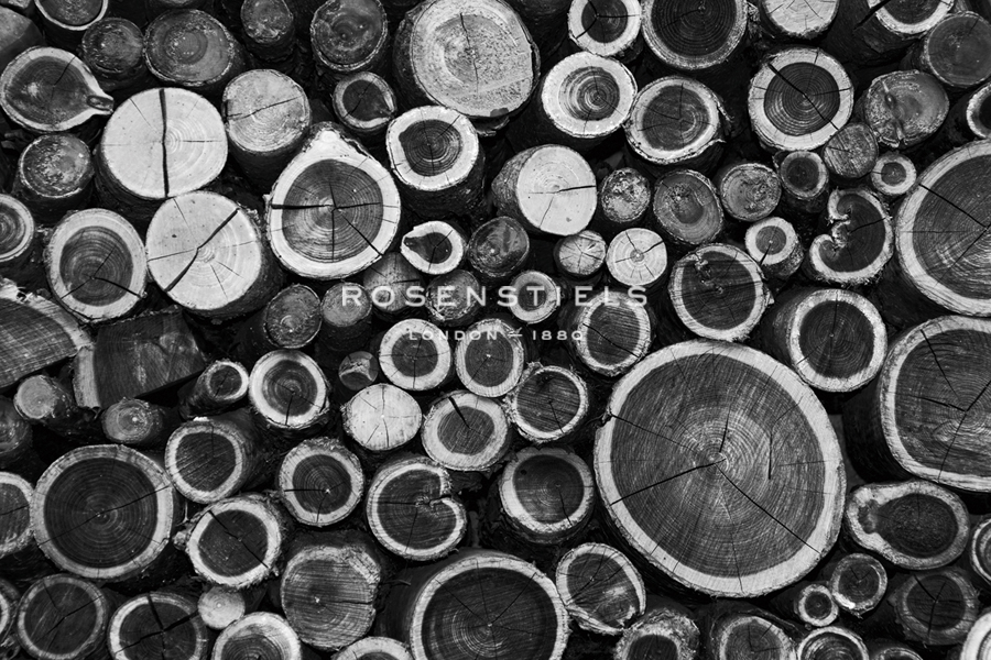 Timber Cache - Michael Banks