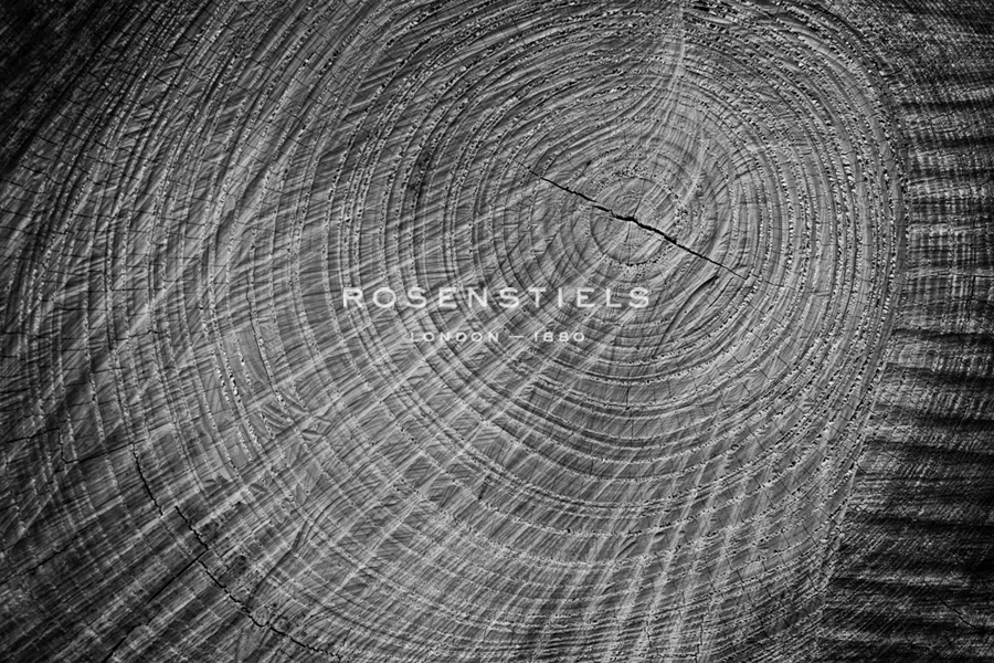 Timber Rings - Michael Banks