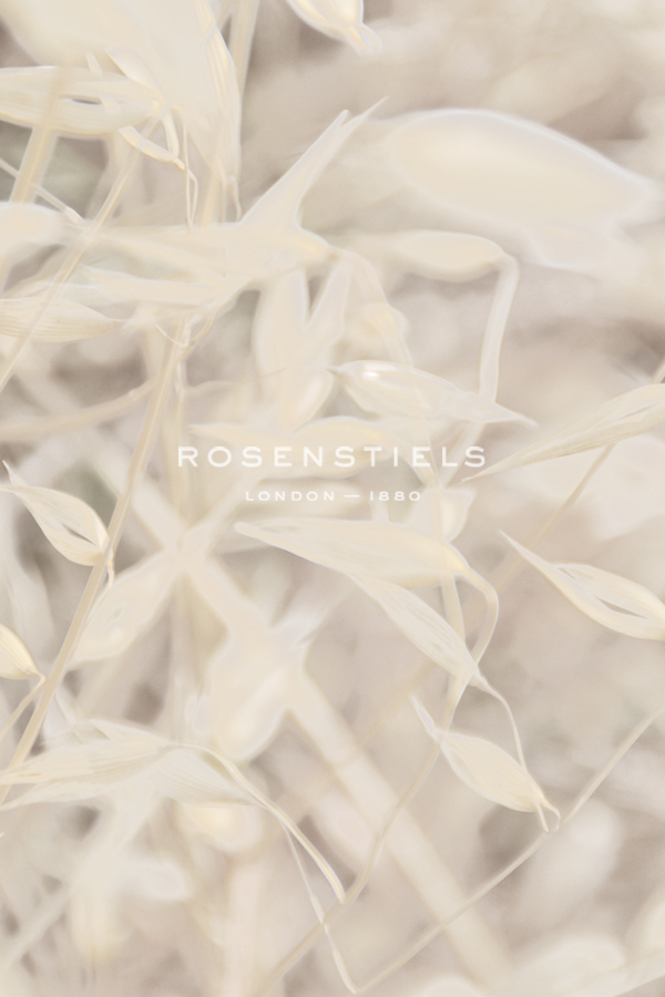 Floral Pods - Obscure - Michael Banks