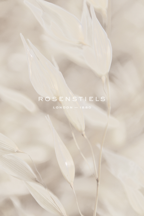 Floral Pods - Indistinct - Michael Banks