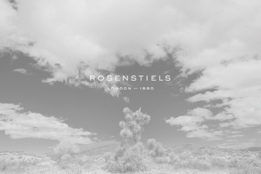 Rolling Vistas - Paige Craig