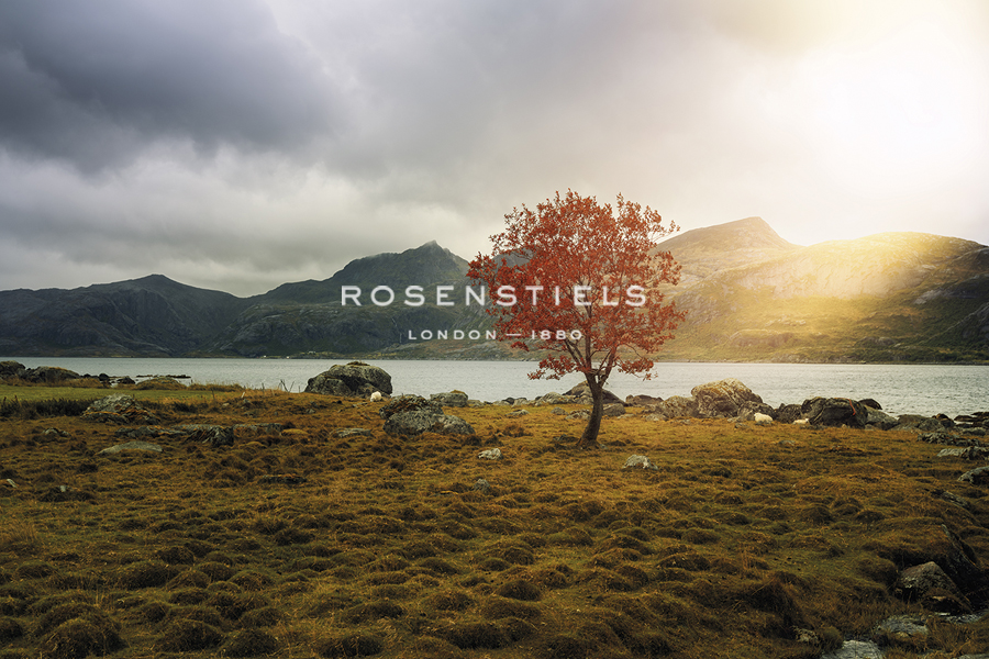 Nature's Spotlight - Andreas Stridsberg