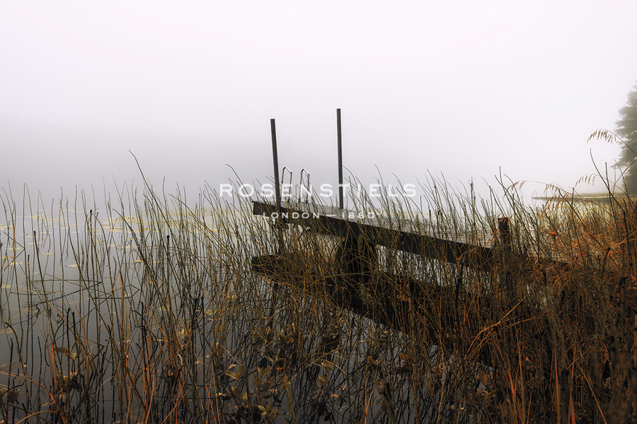 Jetty Wild - Andreas Stridsberg