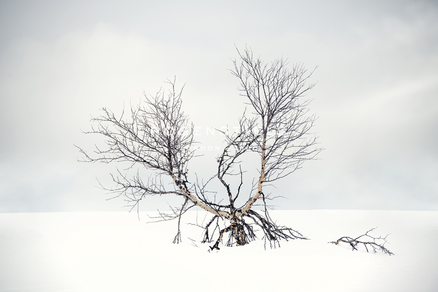 Suspended in Time - Andreas Stridsberg