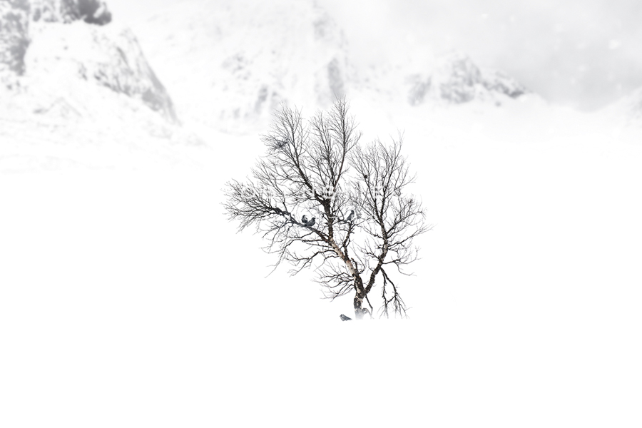 Winter Shelter - Andreas Stridsberg