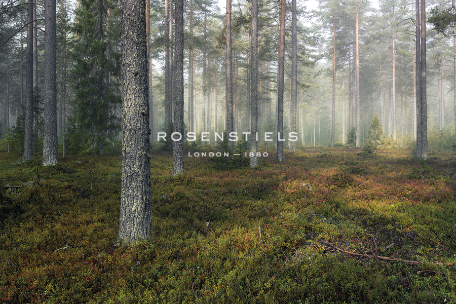 Unknown Path - Andreas Stridsberg