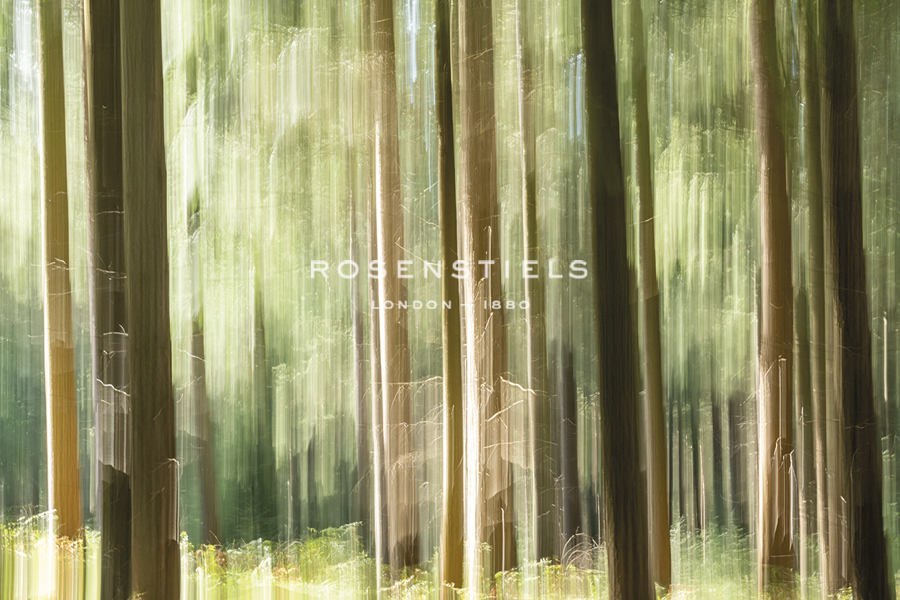 Nature Haze - Brisk - Matt Roseveare