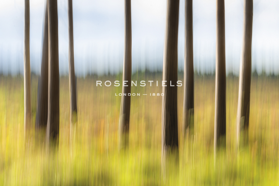 Nature Haze - Swift - Matt Roseveare
